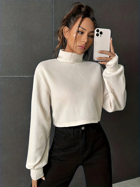 Solid Color Semi Turtleneck Jumper