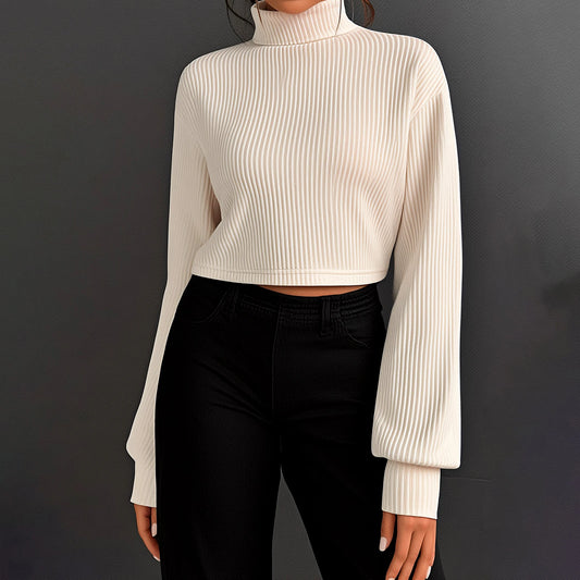 Solid Color Semi Turtleneck Jumper
