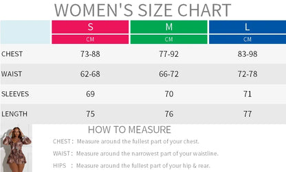 Rachel Collar Flared Long Sleeve Dress