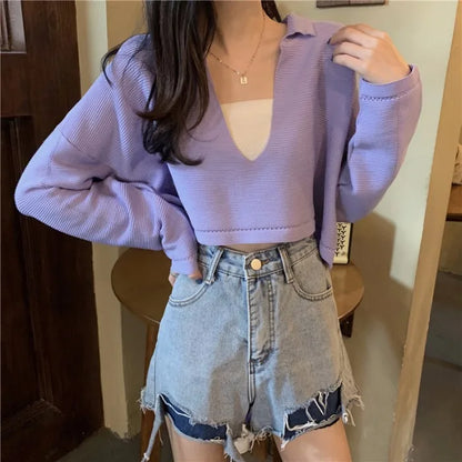 Elegant Casual V Neck Knit Long Sleeve Cropped Sweater