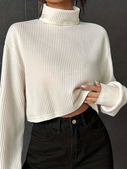 Solid Color Semi Turtleneck Jumper
