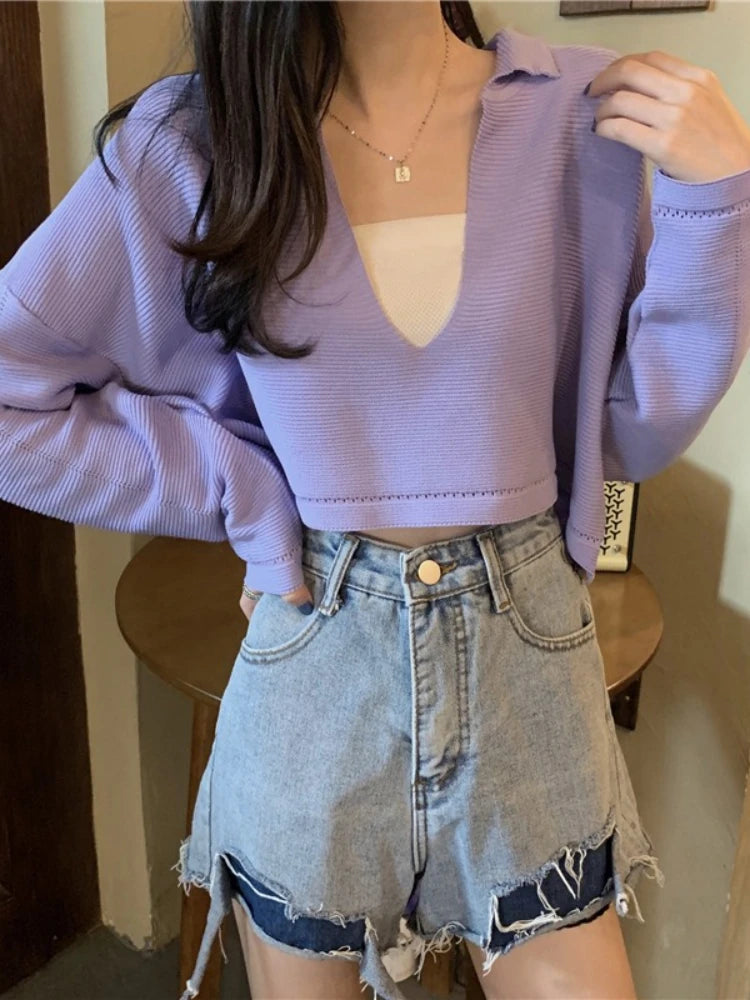 Elegant Casual V Neck Knit Long Sleeve Cropped Sweater