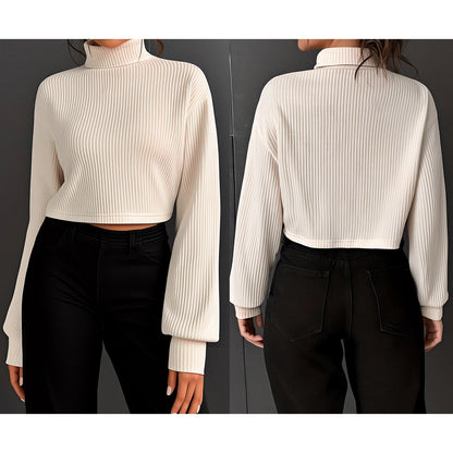 Solid Color Semi Turtleneck Jumper